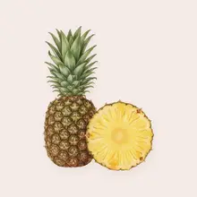 Ananas à l'aquarelle