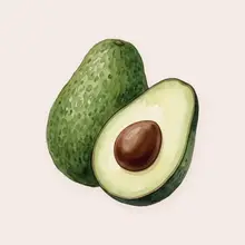 Avocat à l'aquarelle