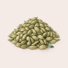 Cardamome à l'aquarelle