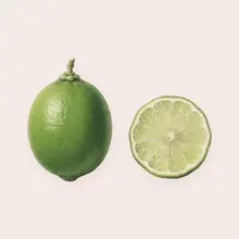 Citron vert à l'aquarelle