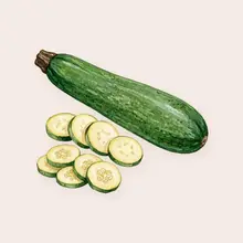 Courgette à l'aquarelle