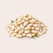 Haricots blancs à l'aquarelle