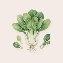 Pak choï à l'aquarelle