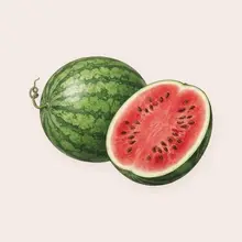 Pastèque à l'aquarelle