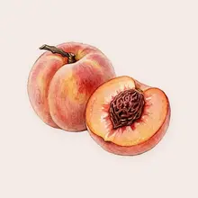 Pêche à l'aquarelle