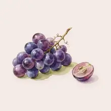 Raisin à l'aquarelle