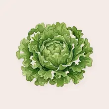 Salade à l'aquarelle