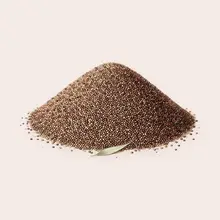 Teff à l'aquarelle