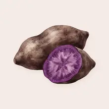 Ube à l'aquarelle